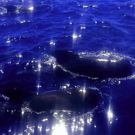 Appartement Casa Penelope Costa Del Silencio