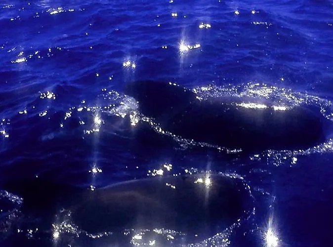 Apartment Casa Penelope Costa Del Silencio